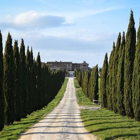Cozy Home In Countryside Asciano Siena -Renovated! Luaran gambar