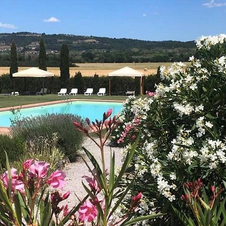 Cozy Home In Countryside Asciano Siena -Renovated! Luaran gambar